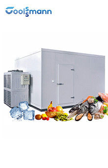 Walk In Cold Room Freezer