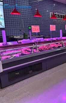 Frost - Free Meat Display Freezer